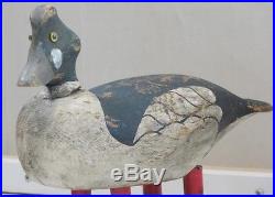 Drake Whistler Duck Decoy Attributed To Upstate New York