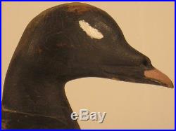 Duck Decoy White Wing Scoter Maine Antique Wooden Goose Shorebird