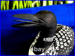 Duck decoy J. Hill Common Loon Signed- 14