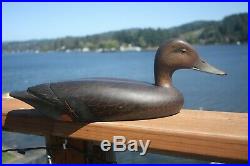 Duck decoy, early David Nichols, Smith Falls, Ont. Black Duck, hand carved/paint
