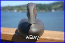 Duck decoy, early David Nichols, Smith Falls, Ont. Black Duck, hand carved/paint