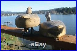 Duck decoys, Wildfowler Pintails, Old Saybrook, Conn, 1939-1957