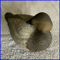 Ducks Unlimited Shooting Rig Collection Dick Rhode Canvasback Decoy Pair