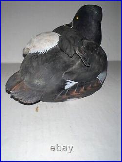 Ducks Unlimited Special Edition Ring Necked Decoy 1998 99