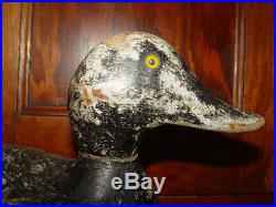 EVANS Vintage Duck Decoy Bluebill Original Working Bird with Glass Eyes