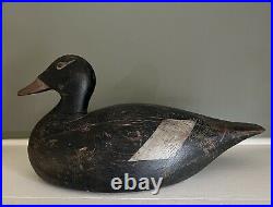Early 1900's Antique Joe Lincoln Oversized White-Winged Scoter Duck Decoy Rare