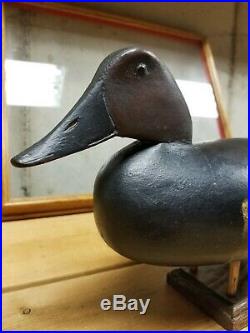 Early 1900s Hollow Carved Canvasback English Family New Jersey Circa 1900 Decoy