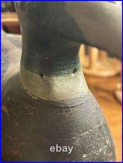 Early 20th Century Louisiana Mallard Duck Decoy with Lead Weight. Unknown Carver