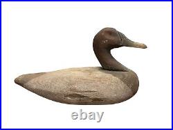 Early Antique Canvasback Wooden Decoy 1900 Upper Chesapeake Bay Cecil County