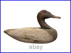 Early Antique Canvasback Wooden Decoy 1900 Upper Chesapeake Bay Cecil County