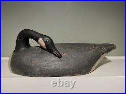 Early Antique Geo. Warin Carved Wood Side Preening Canada Goose Decoy Rare Large