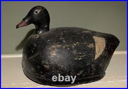 Early Antique Joe Lincoln Carved Wood Oversized White-winged Scoter Decoy Rare