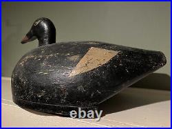 Early Antique Joe Lincoln Carved Wood Oversized White-winged Scoter Decoy Rare