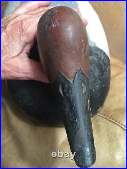 Early Antique Oversize Solid Carved Wood Canvasback Duck Decoy C1900s Orig Paint
