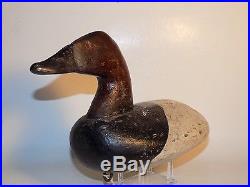 Early BRANDED Upper Bay Canvasback Duck Decoy GRACE