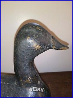 Early Brant Working Duck Decoy Ex Mackey Collection Antique Wooden Duck Decoy