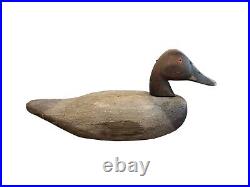 Early Canvasback Wooden Decoy 1900-1920 Rock Hall MD Chesapeake Bay Cecil County