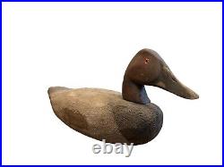 Early Canvasback Wooden Decoy 1900-1920 Rock Hall MD Chesapeake Bay Cecil County