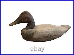 Early Canvasback Wooden Decoy 1900-1920 Rock Hall MD Chesapeake Bay Cecil County