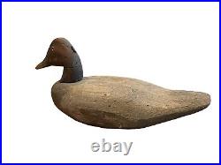 Early Canvasback Wooden Decoy 1900-1920 Rock Hall MD Chesapeake Bay Cecil County