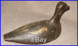 Early Coot Duck Decoy