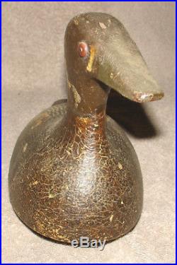 Early Coot Duck Decoy