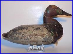 Early Upper Bay Historic BRANDED Canvasback Duck Decoy GRAHAM