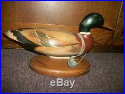Early Vintage Signed Tom Taber Full Size Wooden Duck Decoy Mounted Wood Board