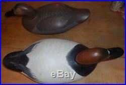 Early Wooden Cancasback 1948 R. Madison Mitchell Duck Decoy Pair Working
