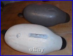 Early Wooden Cancasback 1948 R. Madison Mitchell Duck Decoy Pair Working