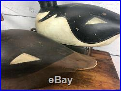 Ed McNeil Landsowne Ont. Inspired Pierre Bacon Hooded Duck Decoy Pair
