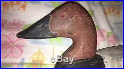 Ed Pearson Canvasback Decoy Branded
