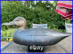 Elmer Crowell East Harwich Massachusetts MA Turned Head Black Duck Decoy Oval