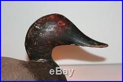 Evans Competitive Grade Canvasback Duck Decoy Hunting