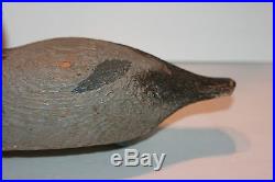 Evans Competitive Grade Canvasback Duck Decoy Hunting