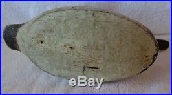 Evans Mammoth Grade Canvasback Duck Decoy Solid Body