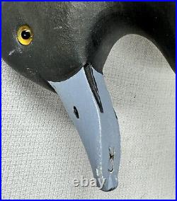 Excellent Bluebill Drake Duck Decoy -Roe Duc-Man Terry Chincoteague VA -Signed