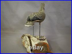 Excellent Large Shorebird Decoy by Cork McGee, Chincoteague, VA Signed & Dated
