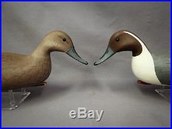 Excellent PAIR Signed George Strunk Swimming Pintail Decoys Original Paint