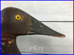 Exceptional Classic Roger Dolson Drake Canasback Duck Decoy Branded RD Chatham