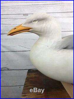 Exceptional Sean Sutton Gull Seagull Duck Decoy Signed by Artist NJ