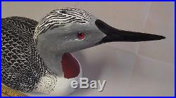 Exquisite Red Throated Loon Decoy Carving by Master Carver Ralph Malpage