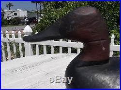 FINAL PRICE Vintage James T. Holly Decoys Canvasback & Black Duck c1910 MD VA
