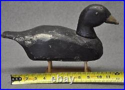 FOLKY WOOD TACK EYE COOT Duck Decoy mixed paint used hunting wear condition