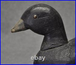 FOLKY WOOD TACK EYE COOT Duck Decoy mixed paint used hunting wear condition