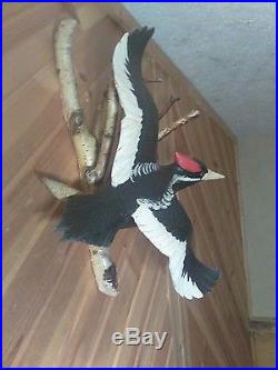 Flying Ivory-billed woodpecker woodcarving, duck decoy, Casey Edwards