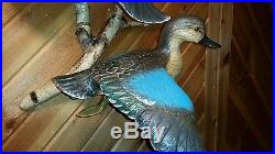 Flying blue-winged teal woodcarving, duck decoy, fish decoy, Casey Edwards