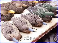 Fourteen (14) LL Bean Cork Coastal Decoy Ducks Various Species + Bag