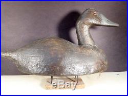 Frank Strey giant canvasback hen duck decoy Winebago Lakes WI. 1930's
