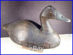 Frank Strey giant canvasback hen duck decoy Winebago Lakes WI. 1930's